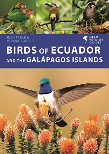 Birds of Ecuador and the Galápagos Islands: A Photographic Guide (Helm Wildlife Guides) von Helm